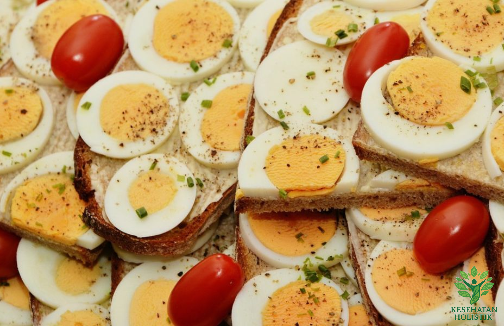 Nutrisi Murah yang Bikin Otak Fokus 8 Jam Nonstop